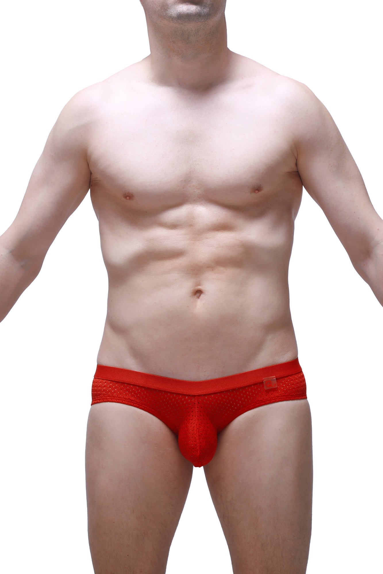 Scaux Bee Red Briefs