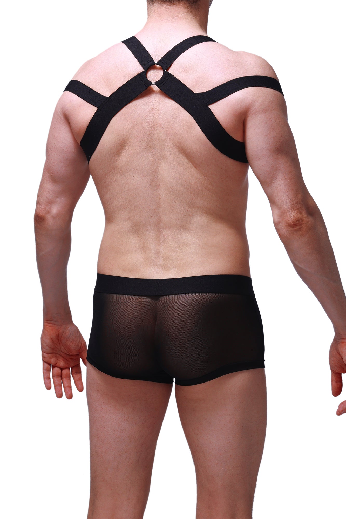 Louens Black Harness