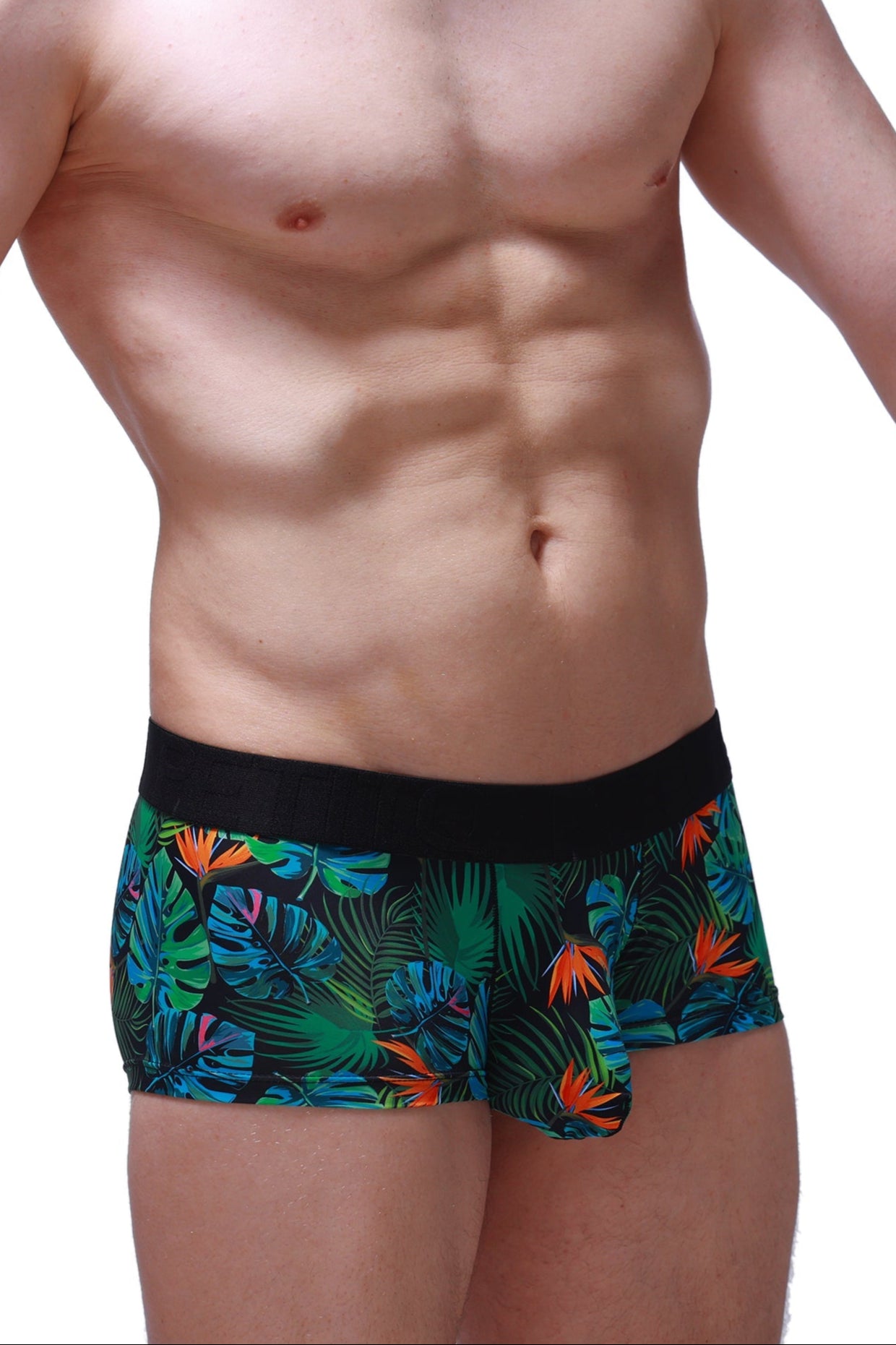 Boxer Chill Souarce Tropical