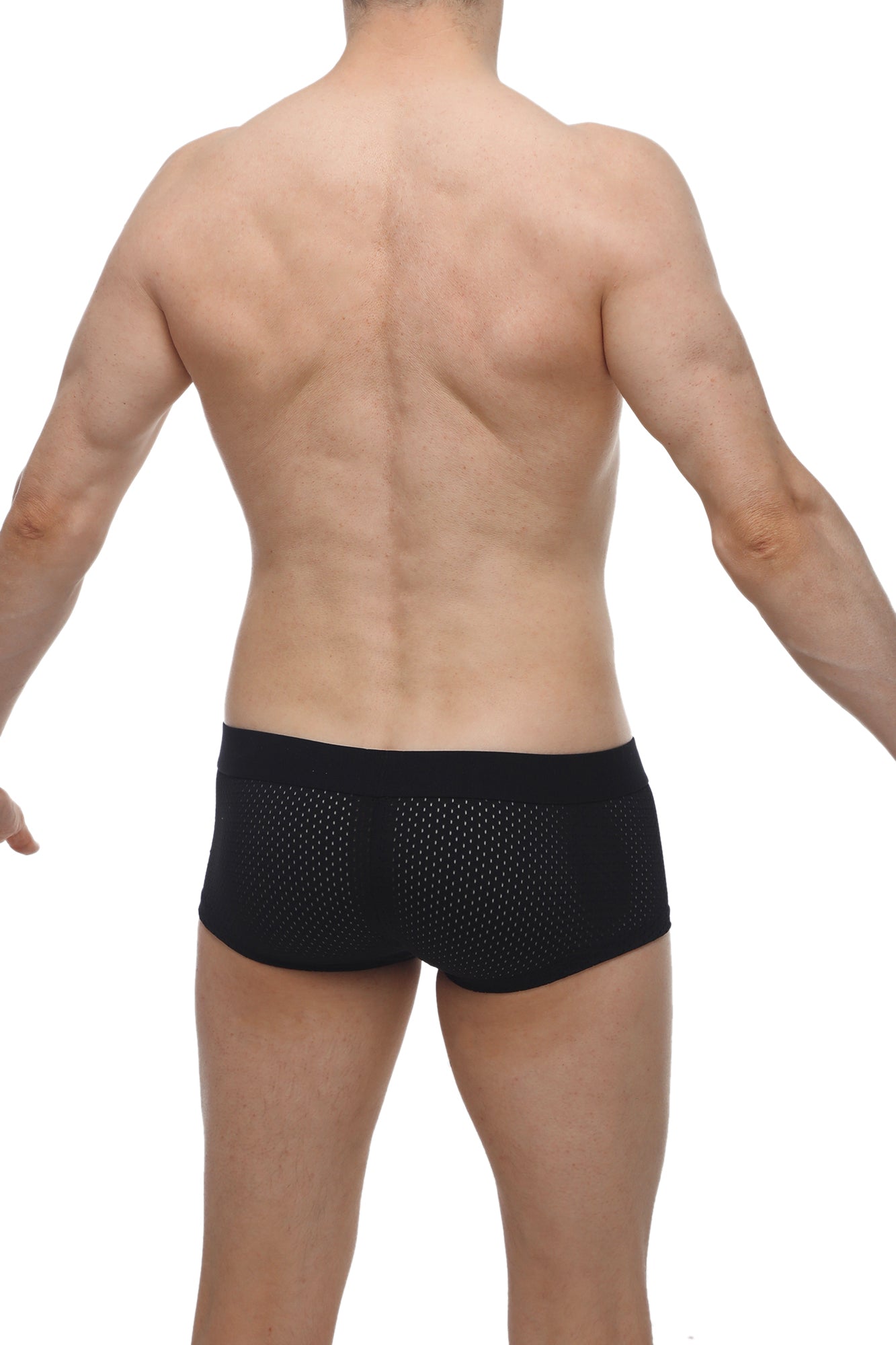 Boxer Oncieux Bee Black