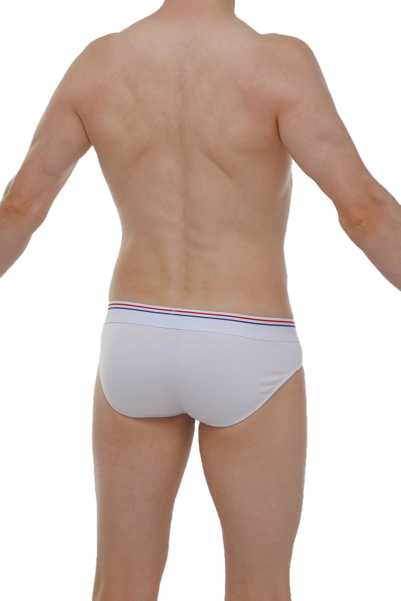 Anjouin Modal White Briefs