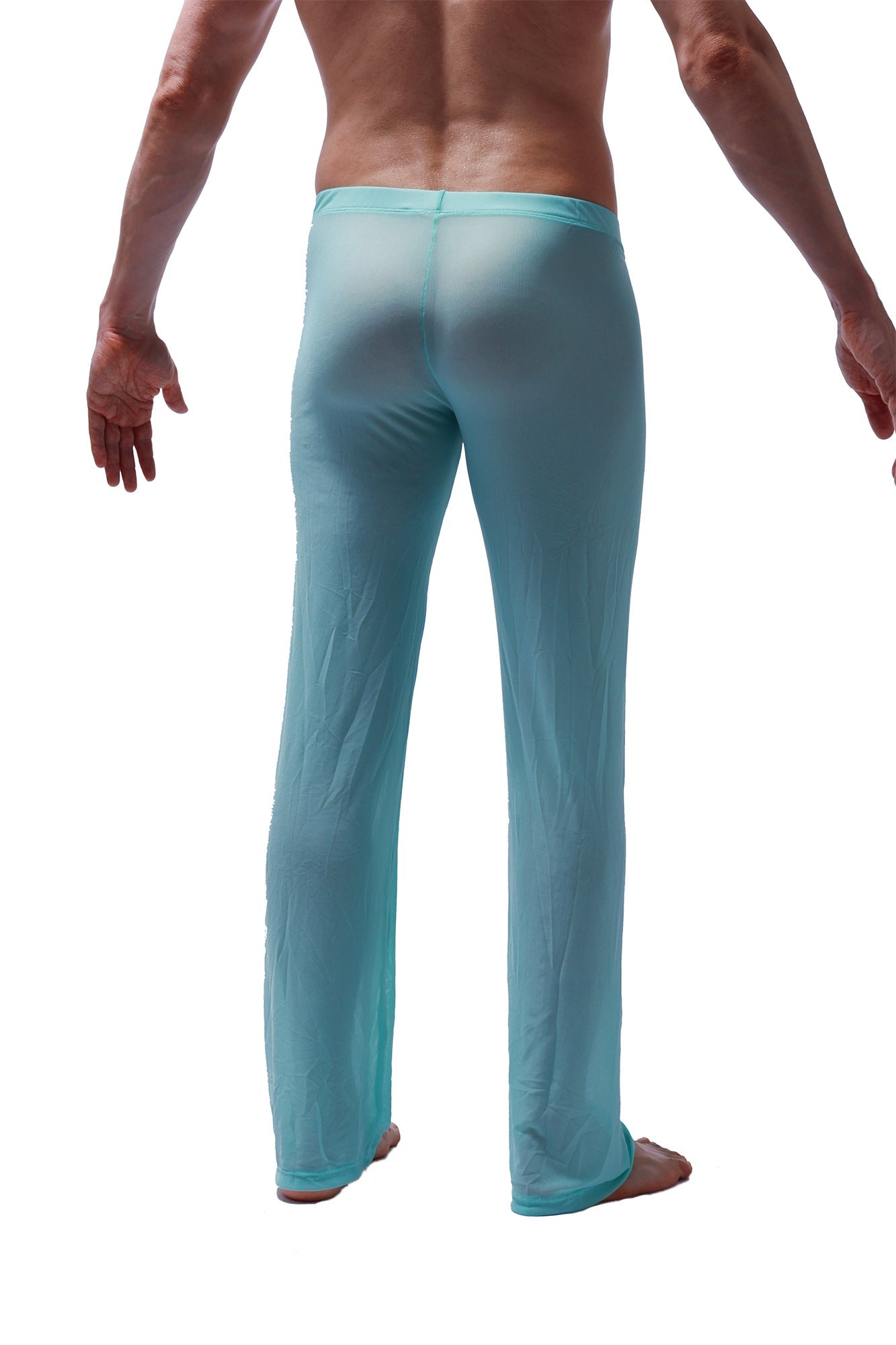 Transparent Linden Pants
