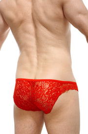 Roter Tregunc-Bikini aus Spitze